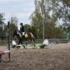 bABIE lATO 2018